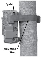 Moultrie - M-880 - SNELLE START INSTRUCTIES Stap 1 SNELLE START INSTRUCTIES Stap 1