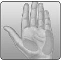 OneTouch - Ultra Mini - Handpalmbemonstering Handpalmbemonstering