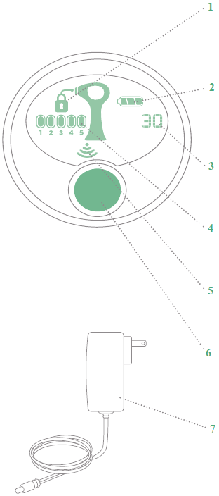Tria - 4X - DISPLAY DISPLAY