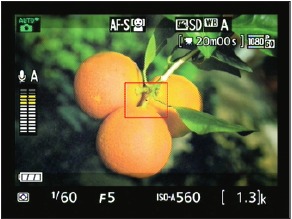 Nikon - D3300 - Afbeelding 1-14 Filmindicatoren weergeven Afbeelding 1-14 Filmindicatoren weergeven