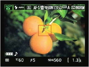 Nikon - D3300 - Afbeelding 1-14 Foto-indicatoren weergeven Afbeelding 1-14 Foto-indicatoren weergeven