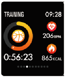 Multi-sport training