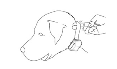Dogtra - iQ PLUS - Correcte Pasvorm Correcte Pasvorm