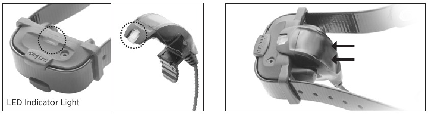 Dogtra - iQ MINI - De Batterij Opladen - Deel 2 De Batterij Opladen - Deel 2
