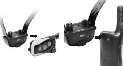 Dogtra - iQ MINI - UW TRAININGSSYSTEEM BEGRIJPEN UW TRAININGSSYSTEEM BEGRIJPEN