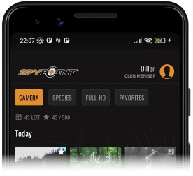 Voorbeeld van meldingen op een smartphone