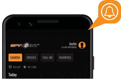 SPYPOINT - LINK-MICRO-LTE - VERIFICATIE - MELDINGEN VERIFICATIE - MELDINGEN