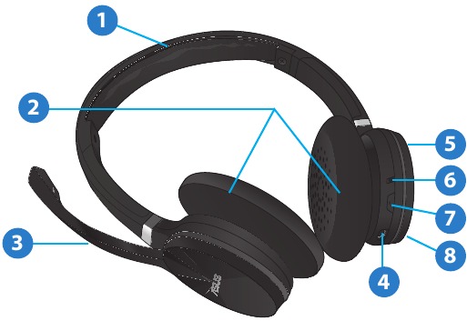 Asus - HS-W1 - Overzicht Overzicht