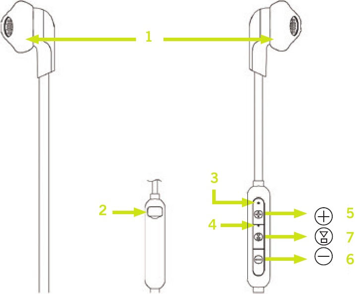 SPROUT - Stride BT5 - Productoverzicht Productoverzicht