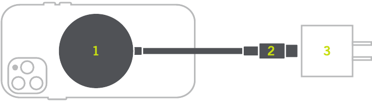 SPROUT - Magnetische Draadloze Oplader - Productoverzicht Productoverzicht
