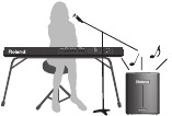 Roland BA-330 keyboardist singer