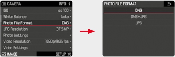 Leica - S3 - Bestandsformaat Bestandsformaat