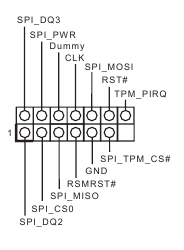 SPI TPM header