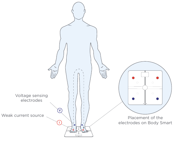 Withings - Body Smart - Lichaamssamenstelling Lichaamssamenstelling