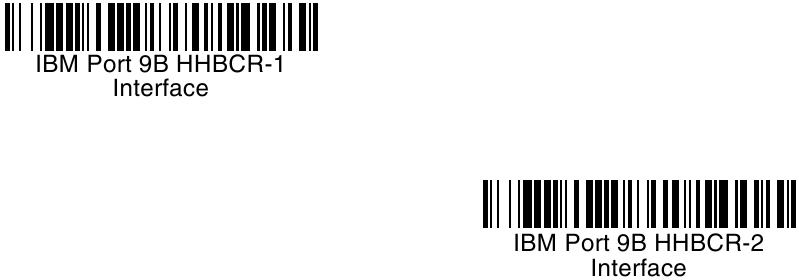 Honeywell - Voyager 1200g - De IBM POS-terminal programmeren De IBM POS-terminal programmeren