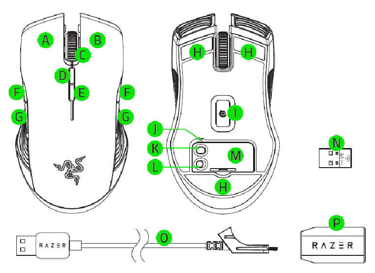 RAZER - LANCEHEAD - APPARAATINDELING APPARAATINDELING