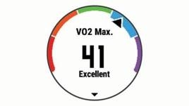 VO2 max. niveau