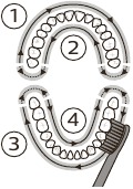 Quadpacer-functie