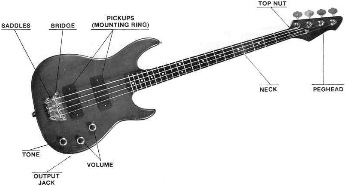 Peavey - FOUNDATION - Overzicht - Deel 1 Overzicht - Deel 1