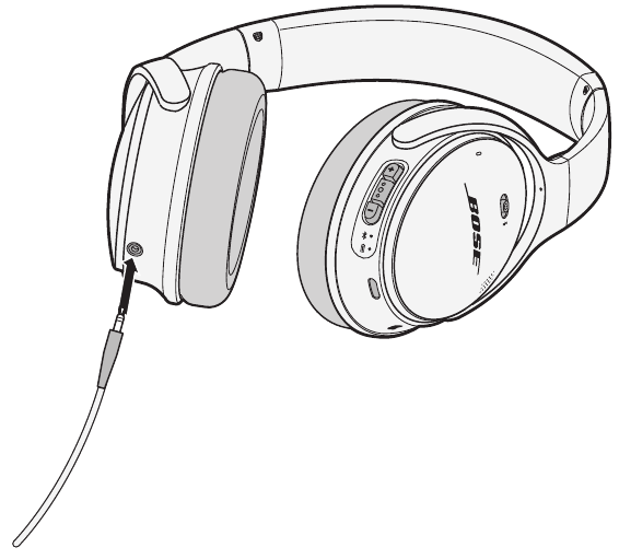 De back-upaudiokabel gebruiken