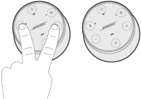 Stereomodus
