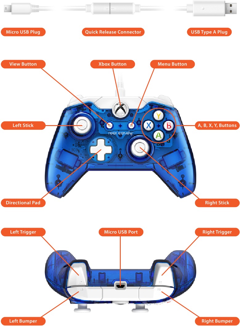 Controller anatomie