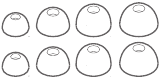 Oordopjes (XS, S, M, L)