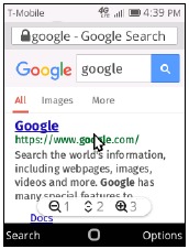 WEB BROWSEN
