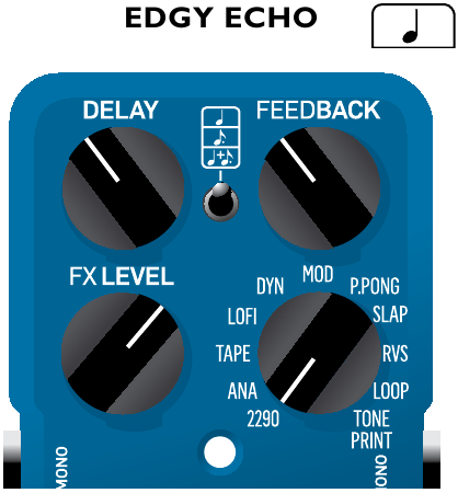 EDGY ECHO