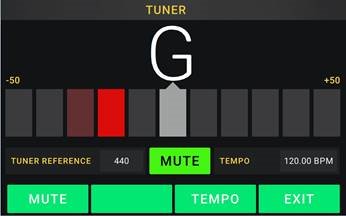 Tuner/Tempo