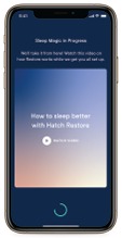 Je Restore verbinden (Connect your Restore)