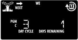 Cyclische dagen