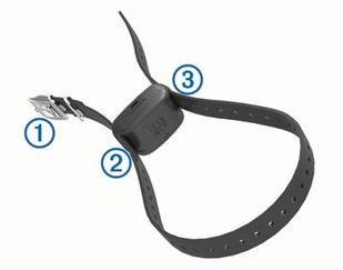 Het halsbandtoestel voor de hond aan de halsband bevestigen