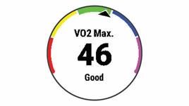 Over VO2 max. schattingen