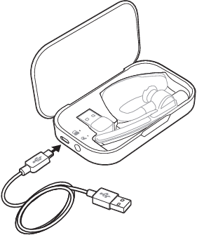 Oplaadcassette naar PC of USB-wandlader Stap 2