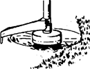 MAAIEN