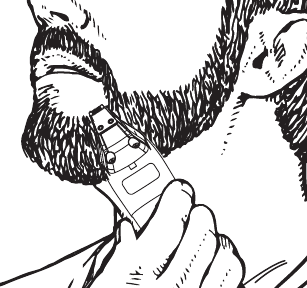 JE BAARD TRIMMEN EN BIJWERKEN Stap 3