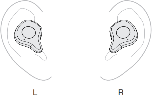 Draagschematisch