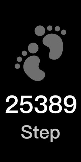 Pedometer