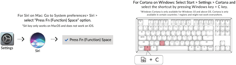 Siri/Cortana activeren