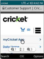 Mobiel internet