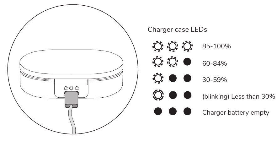 De oplaadcase opladen