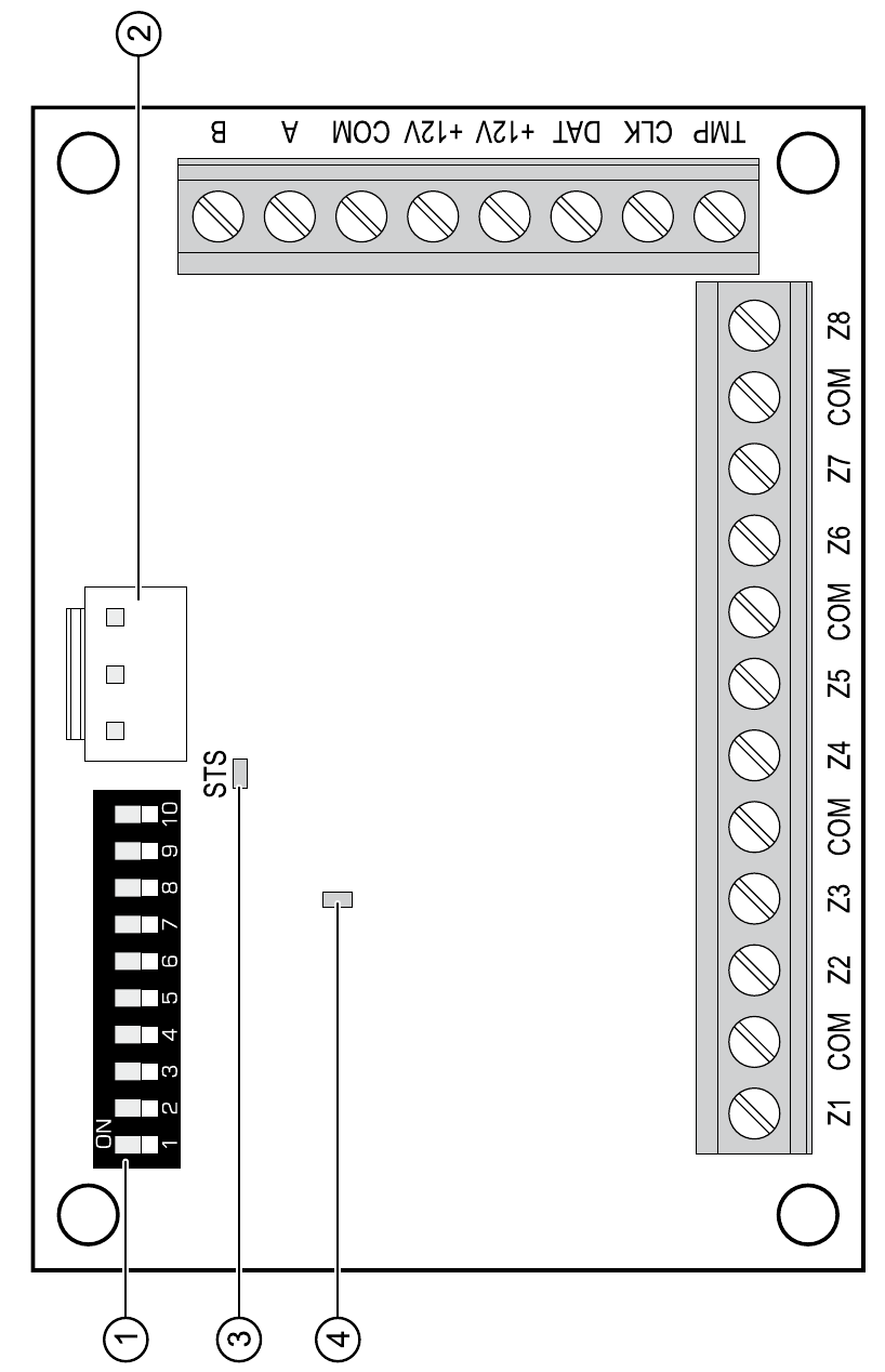 ELEKTRONICA BOARD