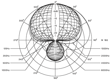 Polair patroon
