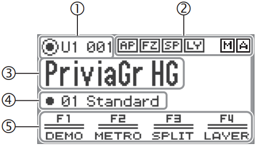 Display - Interface en beschrijving