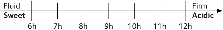 Fermentatietijddiagram