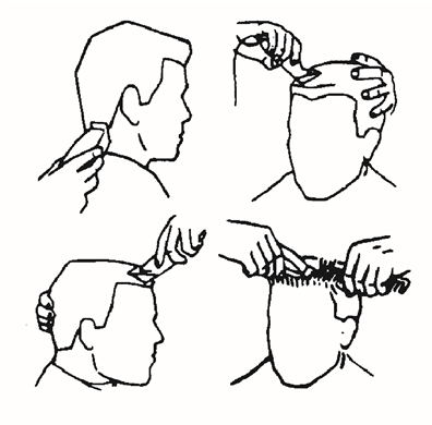 MANNEN- EN JONGENS CREW CUTS EN KORTE KAPSELS