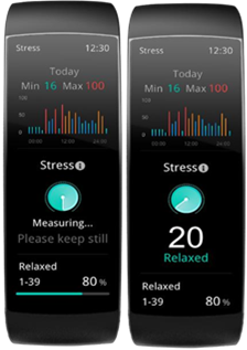Stressmonitoring