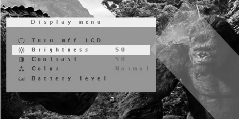 DISPLAY Menu