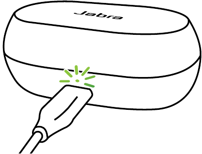 LED-STATUS VAN DE OPLAADCASE MET USB-KABEL